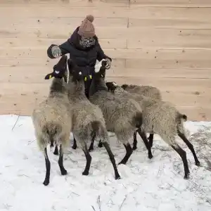Веретьево - 13
