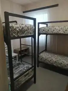 Путник - 4