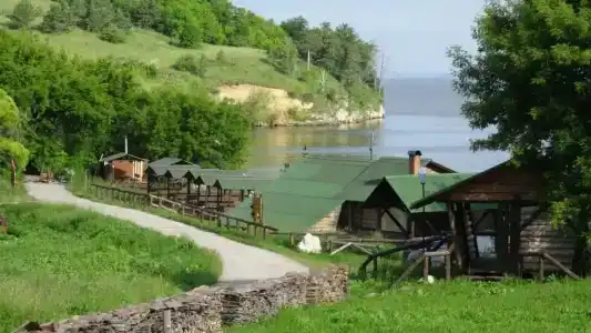 Приволье - 28