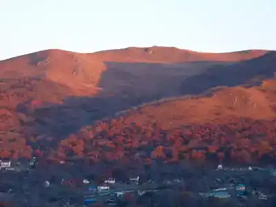 Бухта - 9