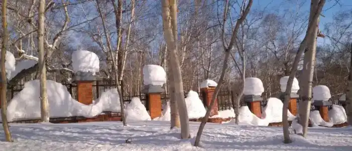 Пансионат Светлячок - 83
