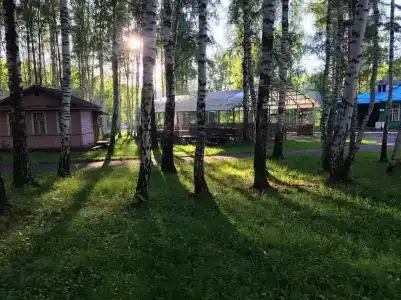 Берёзка - 0
