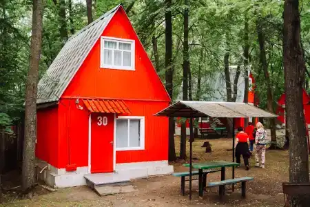 Сашуля - 0