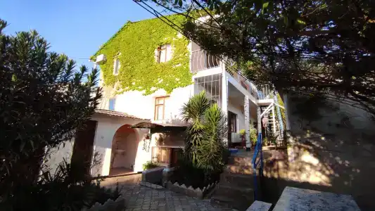 Green Patio - 0