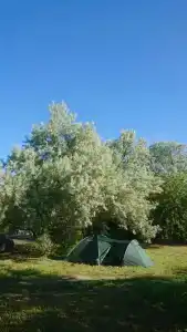 Сказочный лес - 22