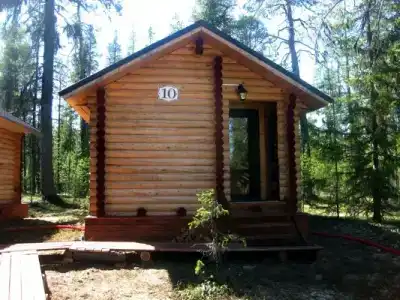 Фаворит - 15