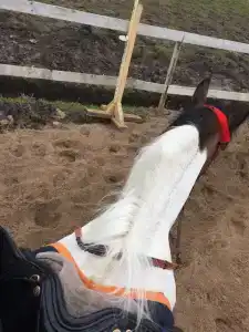 КСК Светозар - 19