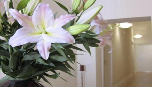 Guest House Amaranto Romano - 4