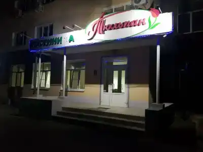 Тюльпан - 16
