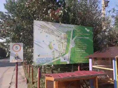Сосновка - 3