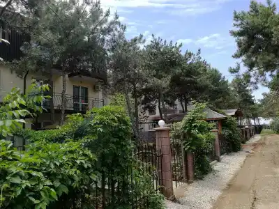 Песчаный берег - 24