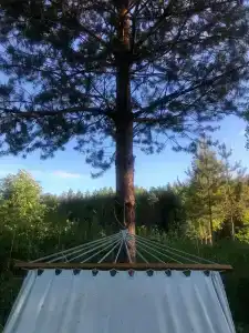 Сегежа Парк - 18