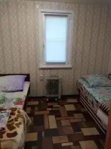 Лилия - 13