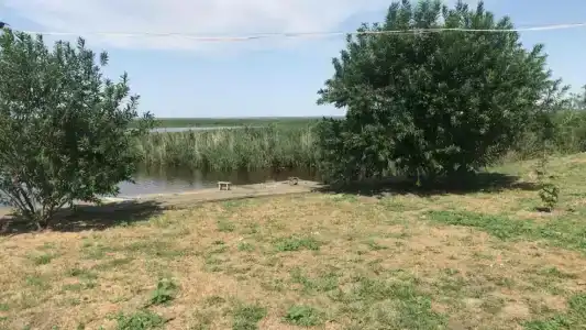 Оазис Станицы - 26