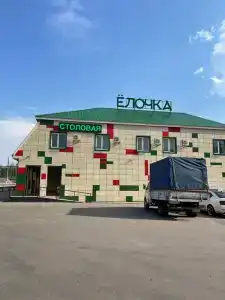 Ёлочка - 8