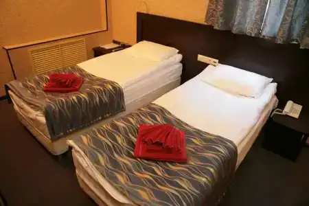 Регина Университетская - 96