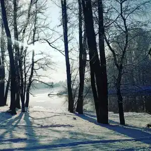 Купринка - 38