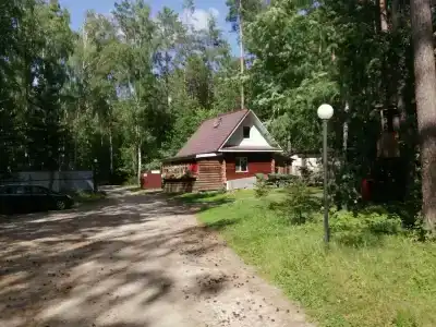 Лесовичок - 27