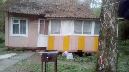 Лесная Сказка - 0