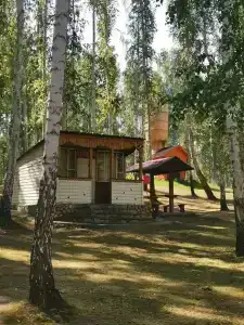 Берёзка - 83