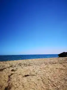 Остров Добра - 77