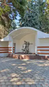 Шаляпин - 39