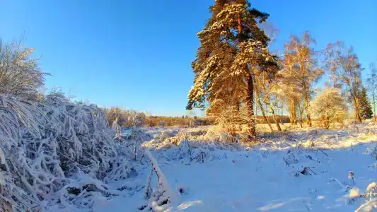 Норка - 23