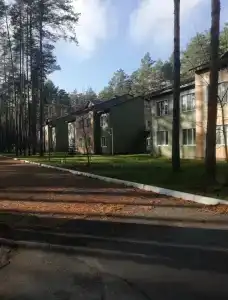 Синезерки - 12