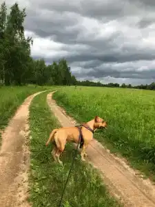 Русские просторы - 4