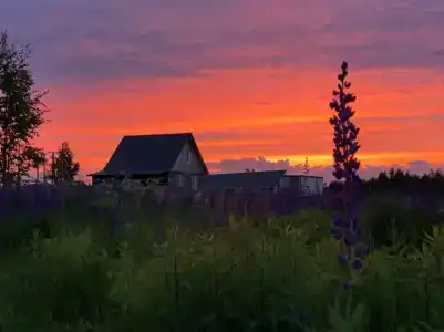 ПолеДом - 55