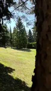 Райский уголок - 7