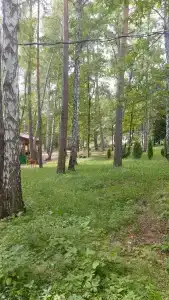 Ока - 8