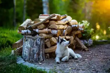 К-значит Карелия - 41