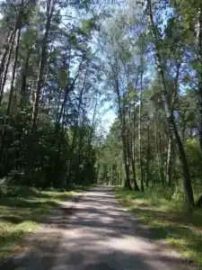 Ёлочка - 3