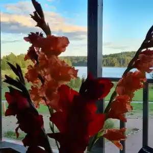 Семейный домик у озера - 16