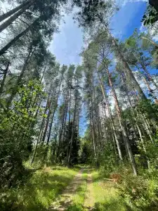 Каменюки - 73