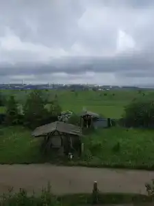 Конная база в Михайловском - 64