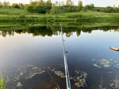 Удачное Кемп - 47