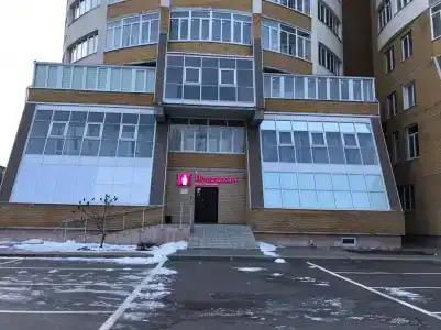 Подушкин - 33
