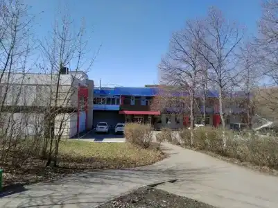 Русский лес - 2
