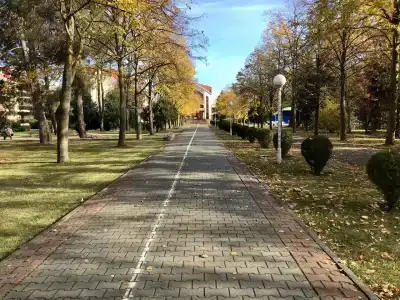 Золотые пески - 4