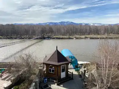 Аргут - 12