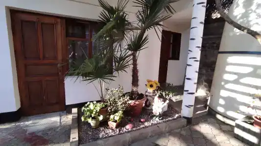 Green Patio - 12