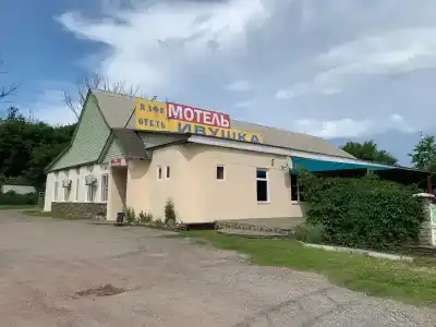 Ивушка - 11