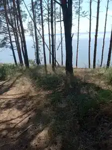 Уютная - 39