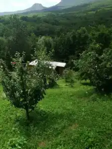 База отдыха у Иваныча - 24