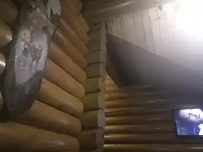 Надежда - 37