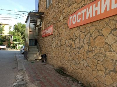 Сюрприз на Яблочкова - 16