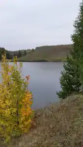 Заимка - 32