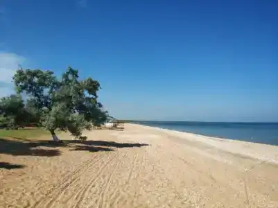 Новоотрадное-1 - 26